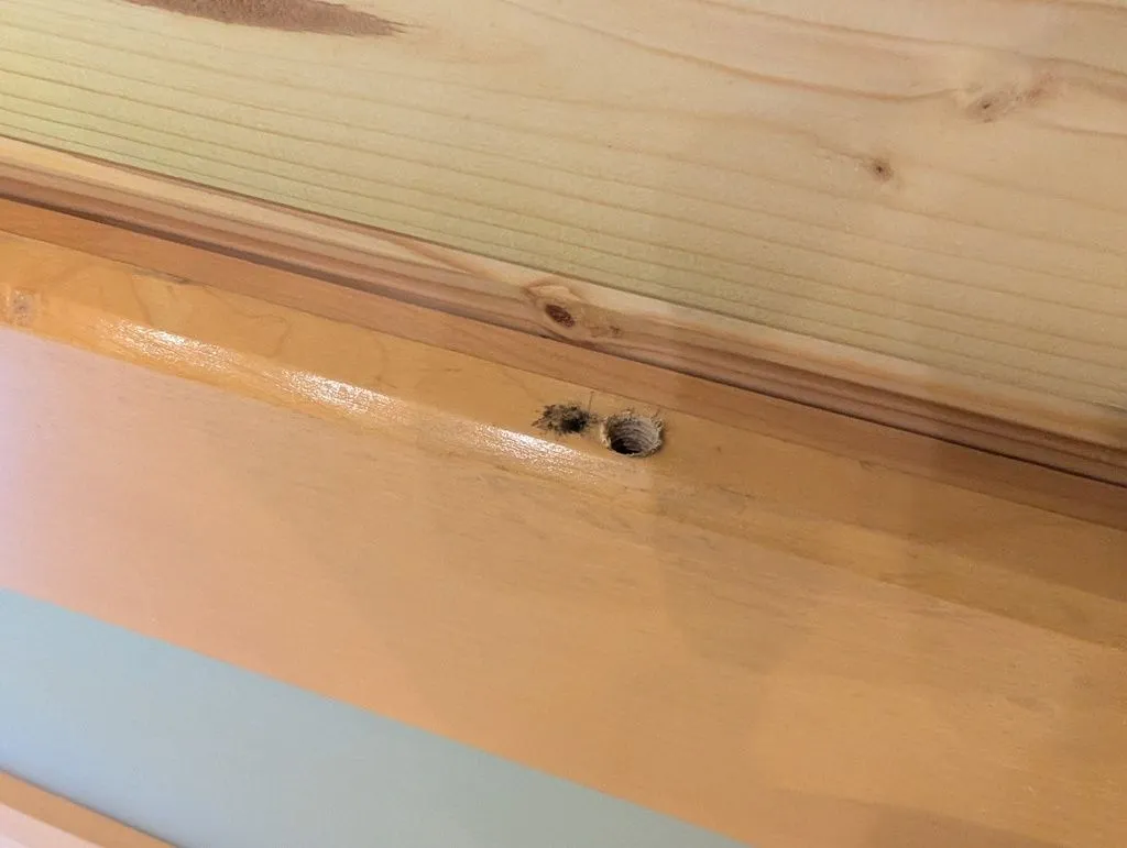 The hole in the door from the old hinge was too large for the new hinges we would use, and would have to be filled.